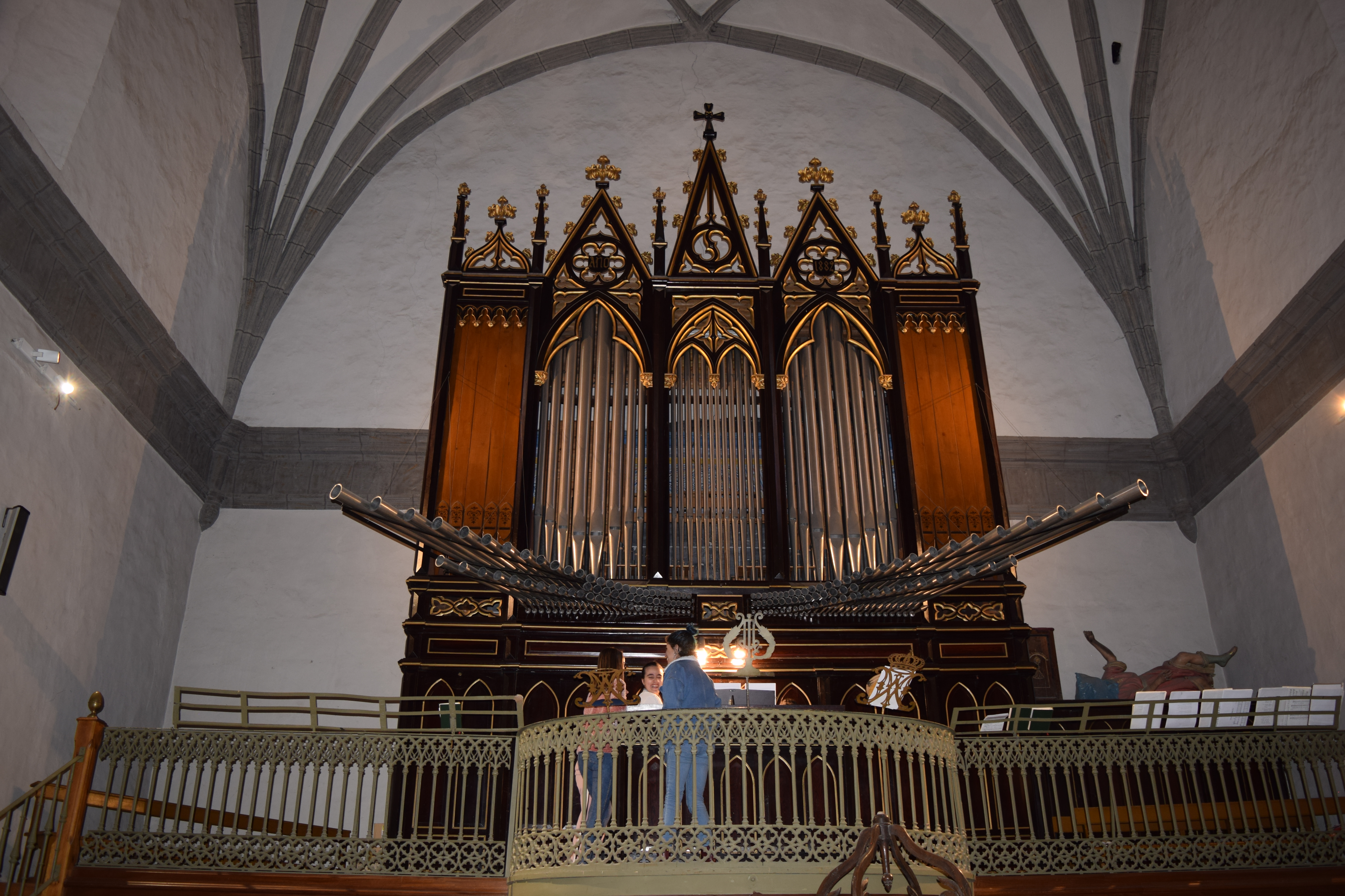 Visita al órgano